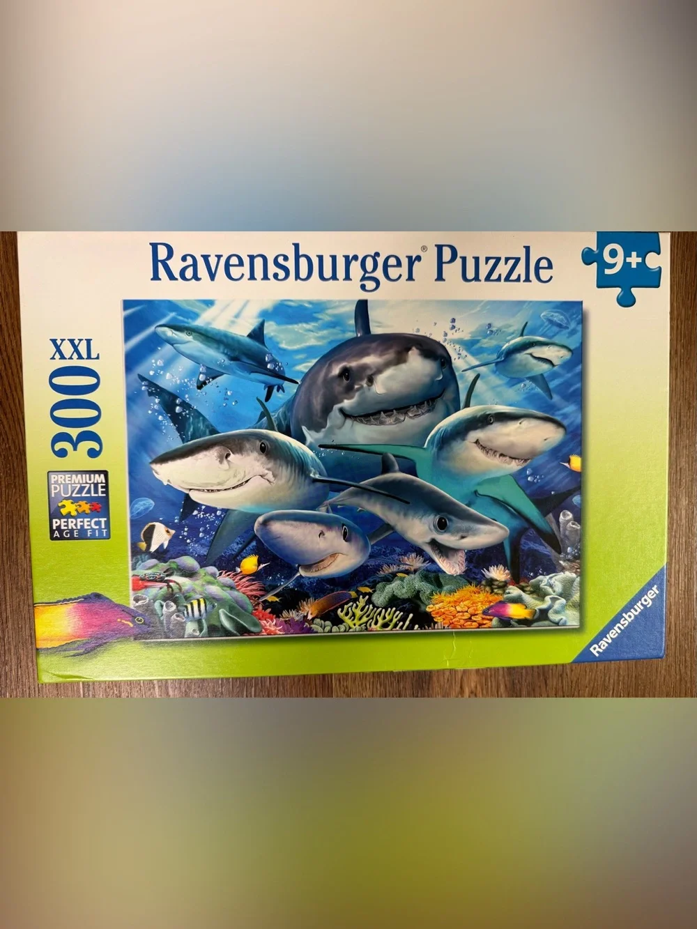 2 puzzles: Ravensburger 300 pc & Kohl’s 400 pc (New & Like New)